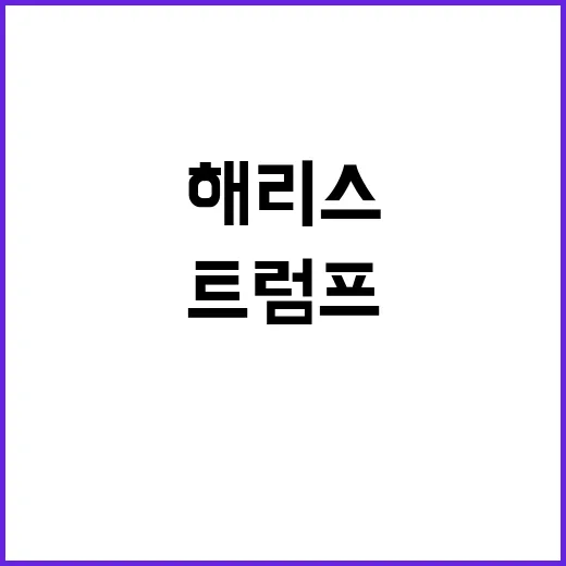 중국산 굿즈 트럼프…