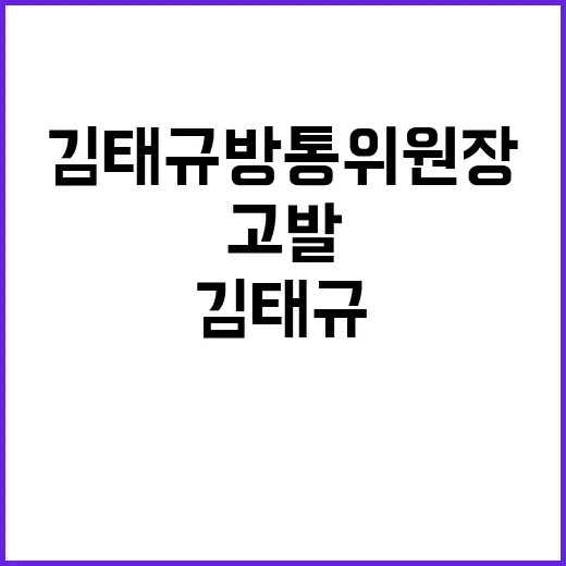 국회 김태규 방통위…