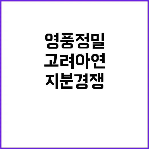 지분 경쟁 고려아연…