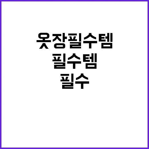 옷장 필수템 마지막 남겨둬야 할 한 벌!