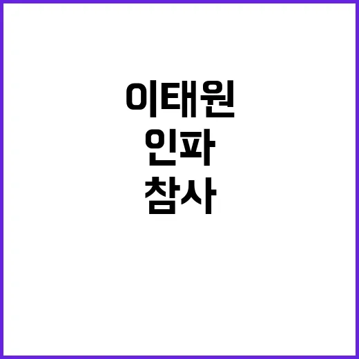 이태원참사 후 명품…