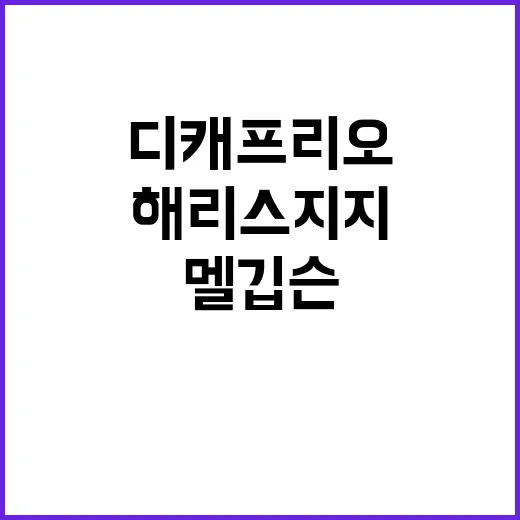 해리스 지지 디캐프…