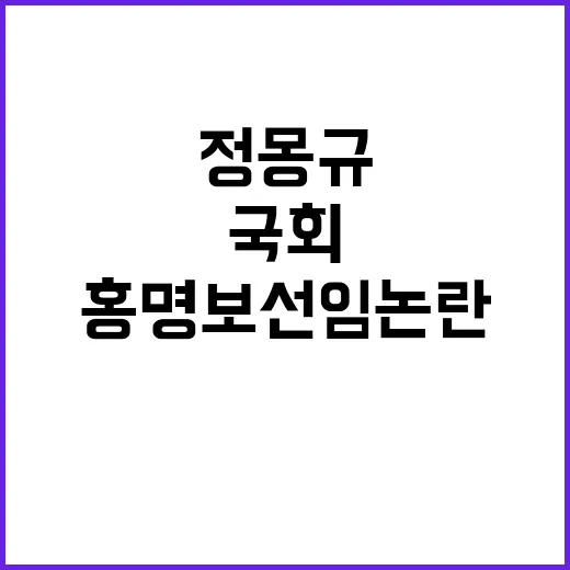 정몽규 다시 국회 홍명보 선임 논란의 중심