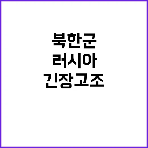 북한군 러시아 쿠르…