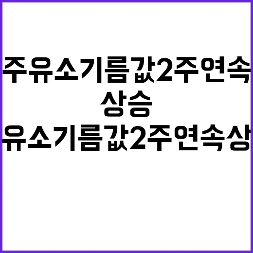 주유소 기름값 2주 연속 상승의 이유 공개!