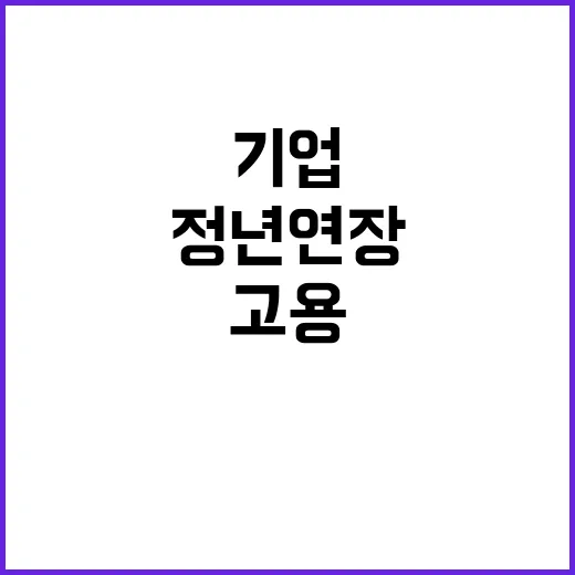 정년 연장 기업 맞…