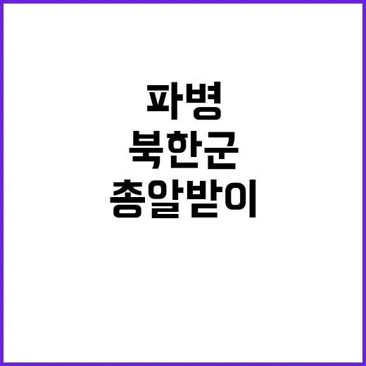 북한군 파병 젊은 …