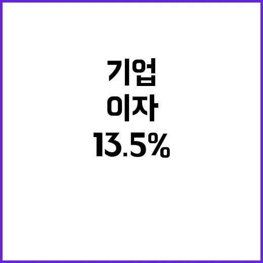 연 13.5% 이자…