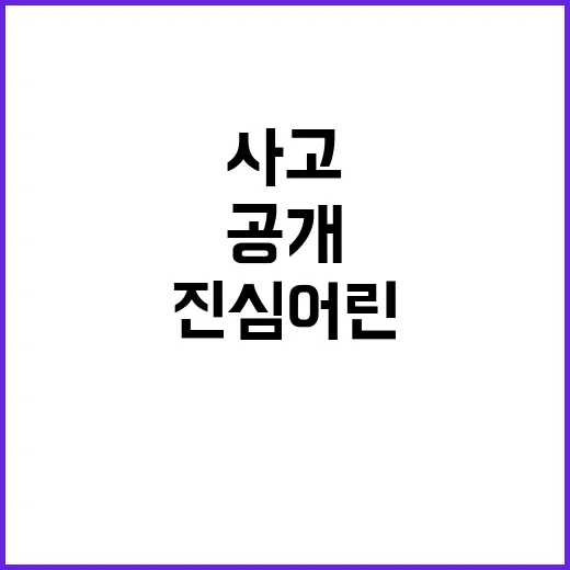 백종원 사고 후 진…