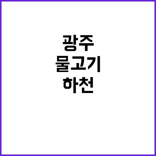 물고기 떼죽음 광주…