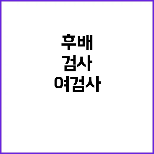 ‘후배 검사 성추행…