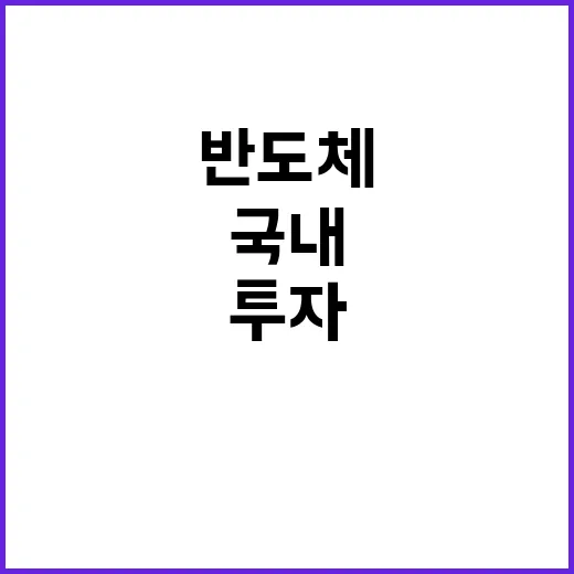 반도체 투자 제한 …