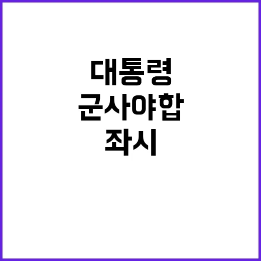 대통령 군사 야합 …