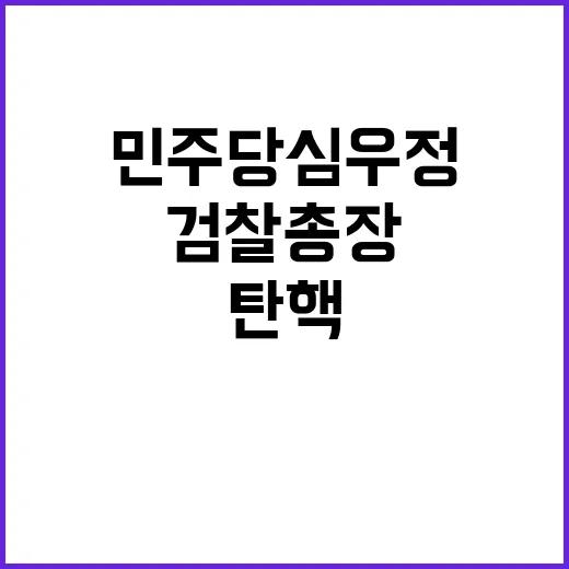 검찰총장 민주당 심…