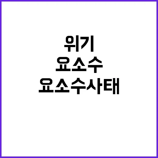 고려아연 위기 제2 요소수 사태 심각성?