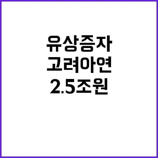 고려아연 유상증자 2.5조원 규모로 지원 발표