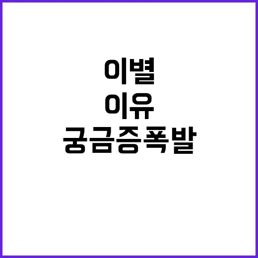 이마트 신세계백화점…