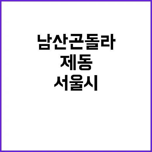 남산 곤돌라 서울시…