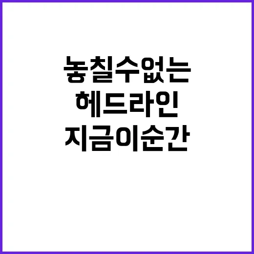 헤드라인 지금 이 …