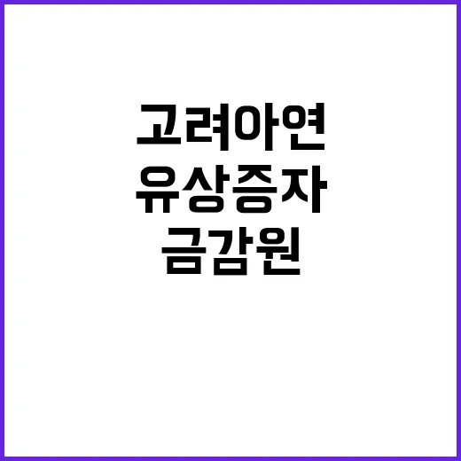 금감원 고려아연 유상증자 규제…부정거래 우려 발생!