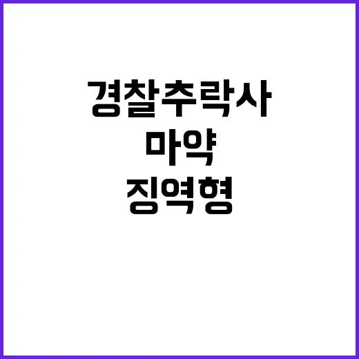 경찰 추락사 대법원 마약주범들 징역형 확정