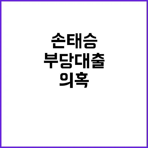 손태승 부당대출 의…