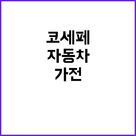 코세페 할인 시작……