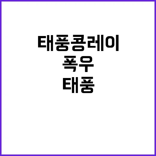 태풍 콩레이 폭우 …