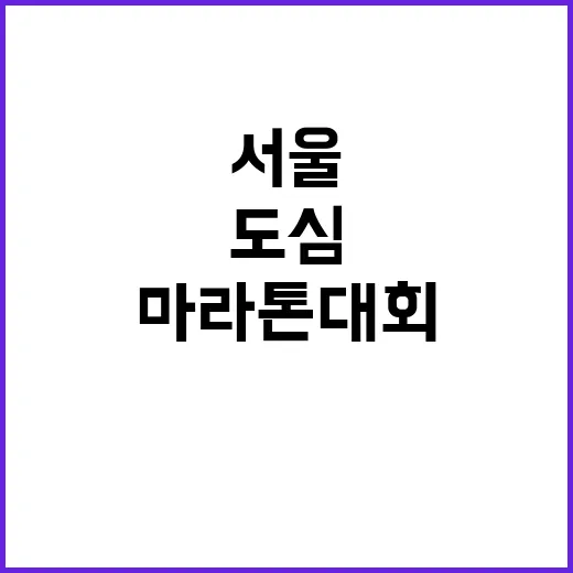 서울마라톤 대회 도…