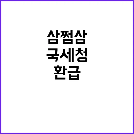 환급 대란 국세청 삼쩜삼 대책 발표 예정!