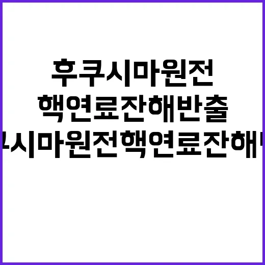 후쿠시마 원전 핵연…