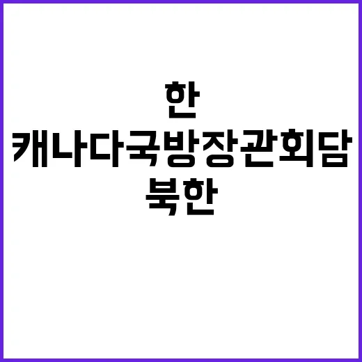 북한 불법파병 한캐…