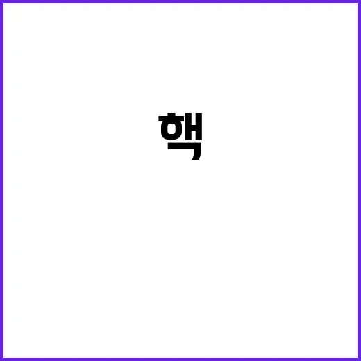 핵원칙 변경? 하메…