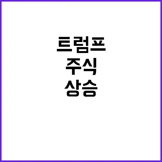 트럼프 승리 시 상…