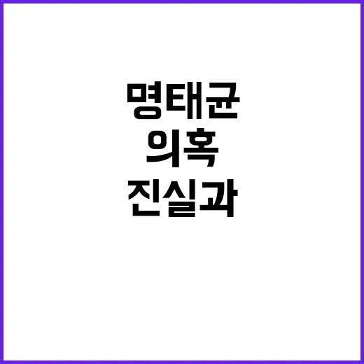 명태균 여론조사 진…