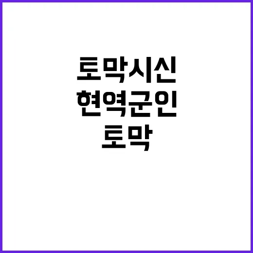 토막 시신 현역 군…