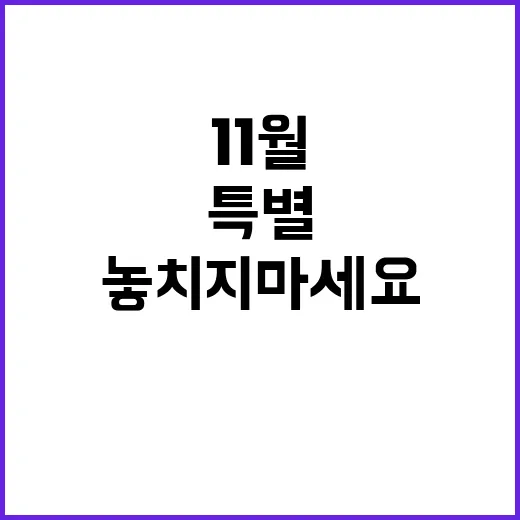 11월 3일 특별한 날 놓치지 마세요!