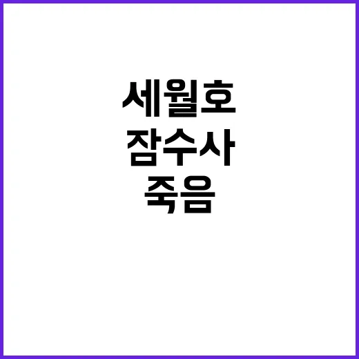 “세월호 잠수사 죽…