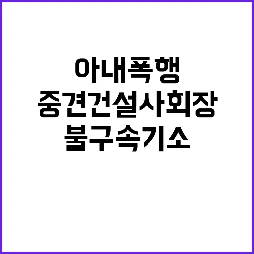 검찰 중견 건설사 회장 아내 폭행 사건 불구속기소!