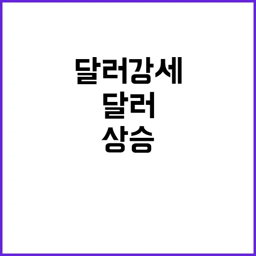 달러 강세 트럼프 트레이드로 2년 6개월 최대 상승!