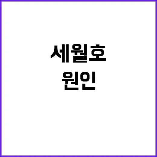 세월호 잠수사 사망…