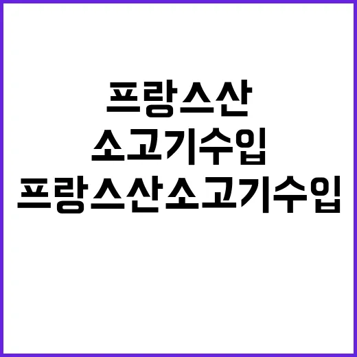 프랑스산 소고기 수입 국내 시장 반응은?