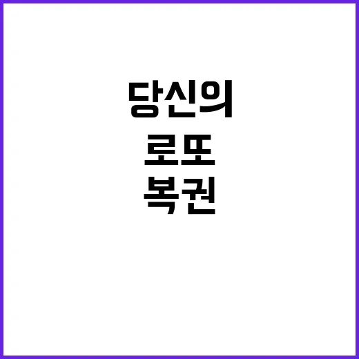 로또 복권 11월 …