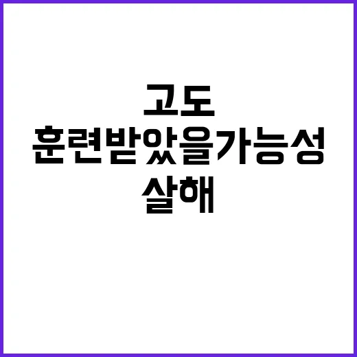 살해 소령 고도의 …