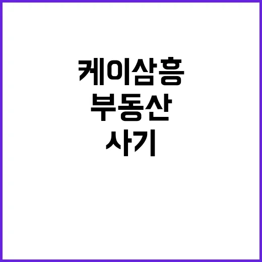 부동산투자 사기 케…