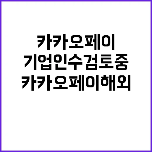 카카오페이 해외기업 인수 검토 중 이라는 충격!