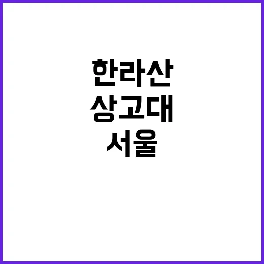 첫서리 서울 상고대…