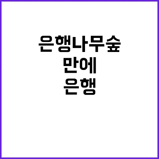 은행나무숲 50년 …