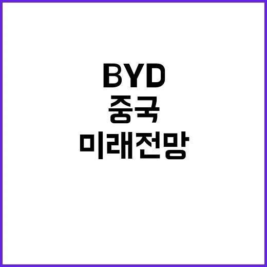 캐즘 중국 BYD …