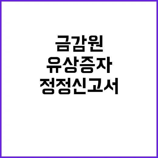 유상증자 효력정지 금감원의 정정신고서 요구